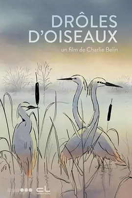 禁止海边爱