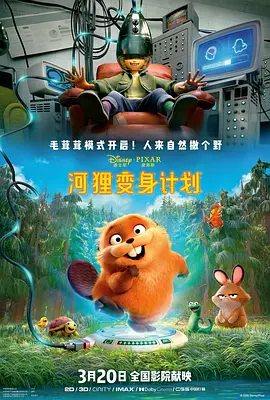 婷婷精品进入
