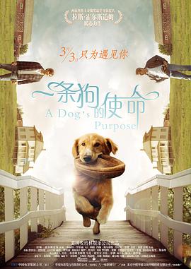 零钱小姐