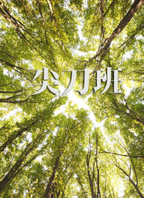 新有菜2023年8月midv