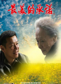精品久久久久久国产免费了
