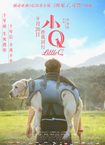 免费在线观看一区