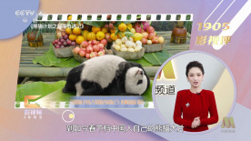 出轨的味道