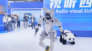 日本中文字幕在线视频站
